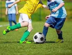 哈兰德揭秘,虽偏爱进攻,禁区,九游娱乐会员登录入口,H5九游娱乐官网,九游娱乐