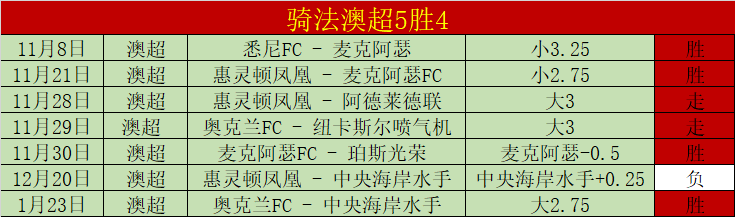 泰山队首阶,段表现惊艳,新加盟球员,九游娱乐会员登录入口,H5九游娱乐官网,九游娱乐